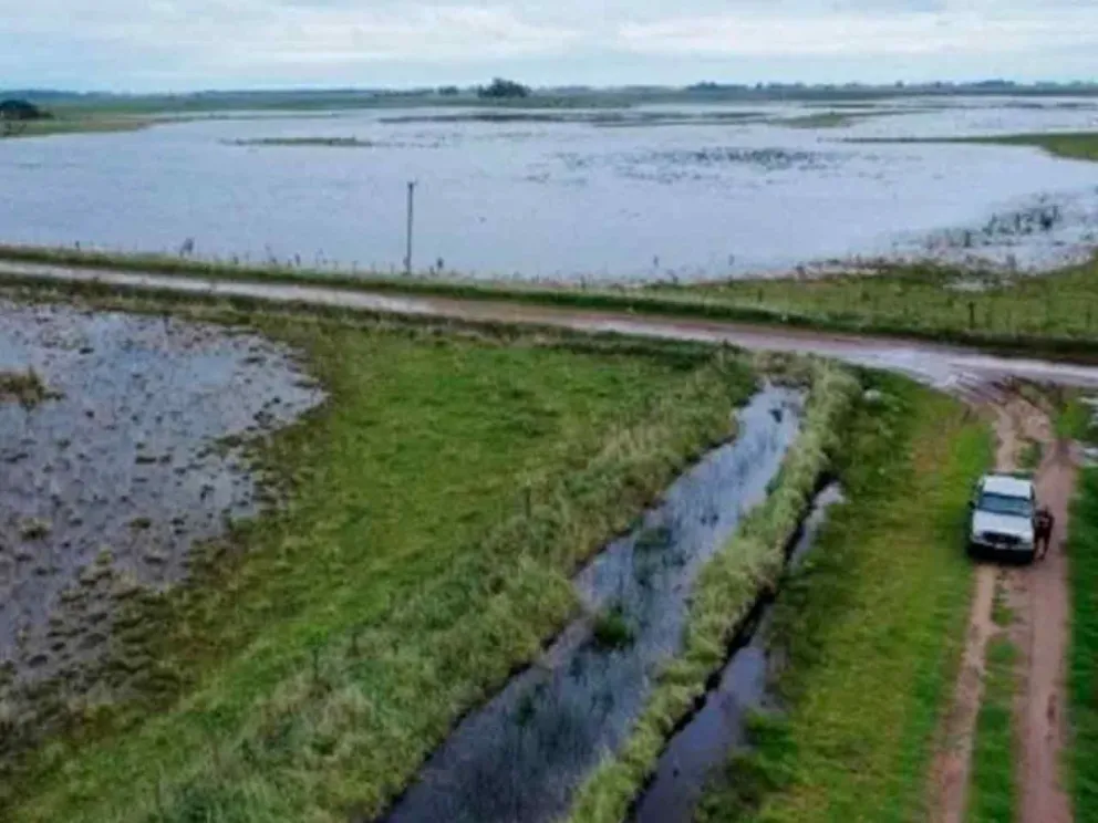 Mediante decretos publicados en el Boletín Oficial