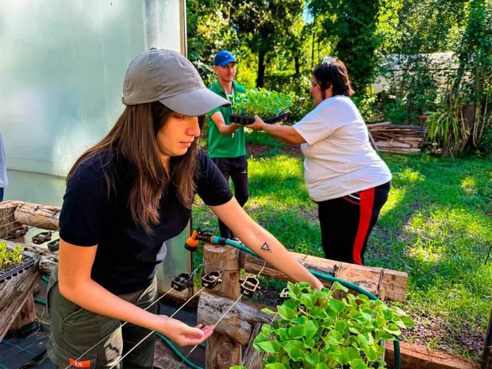 Apoyo a la agricultura familiar como eje económico
