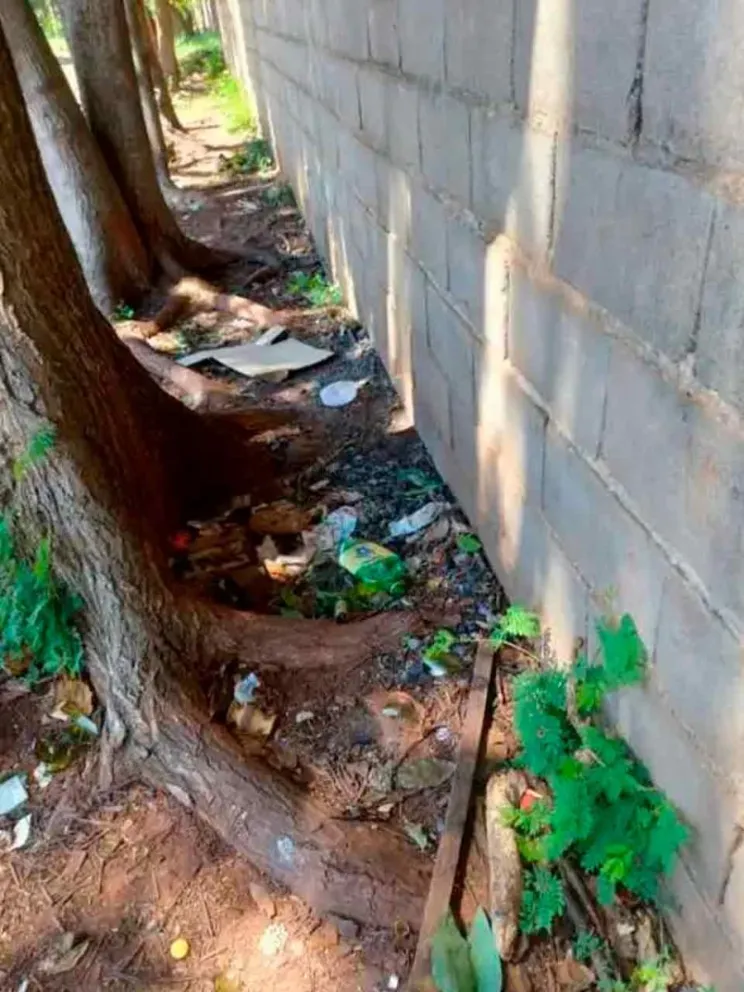 Temen por su seguridad