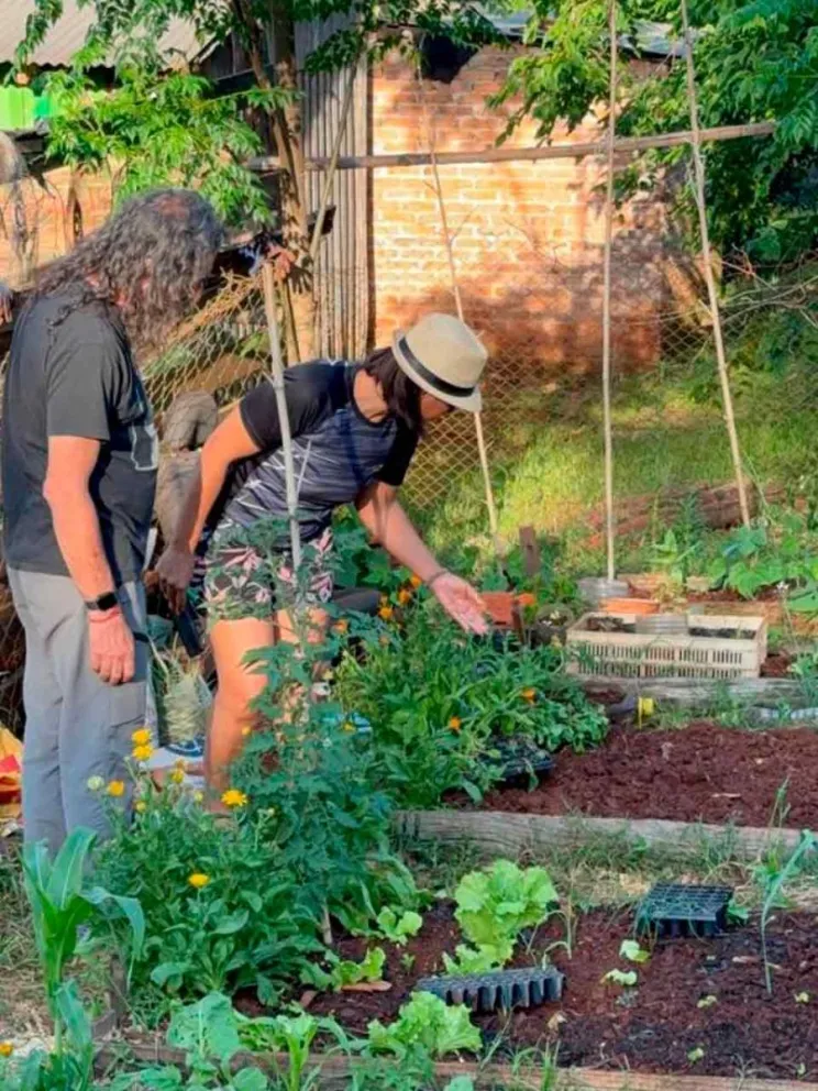 Nancy Borges muestra parte de su plantación