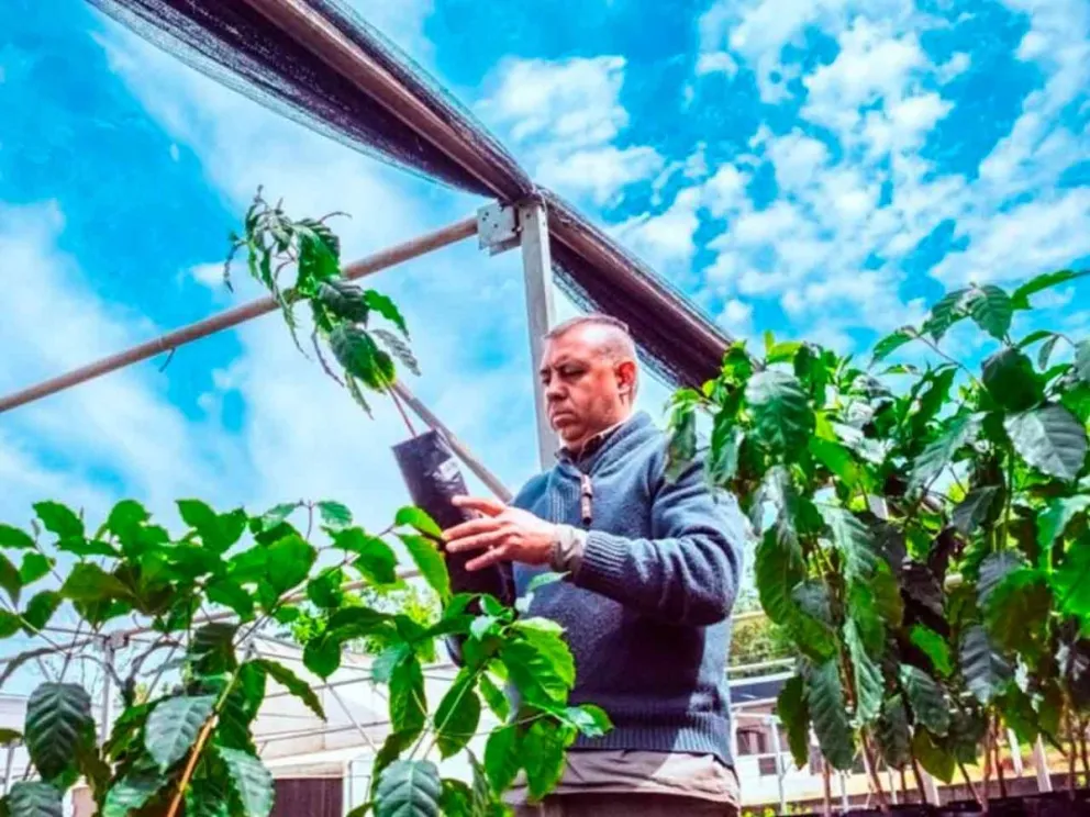 En tres localidades estratégicas