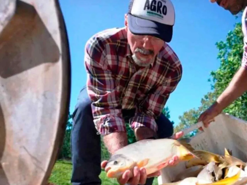 Apuntando a acceder a nuevos mercados