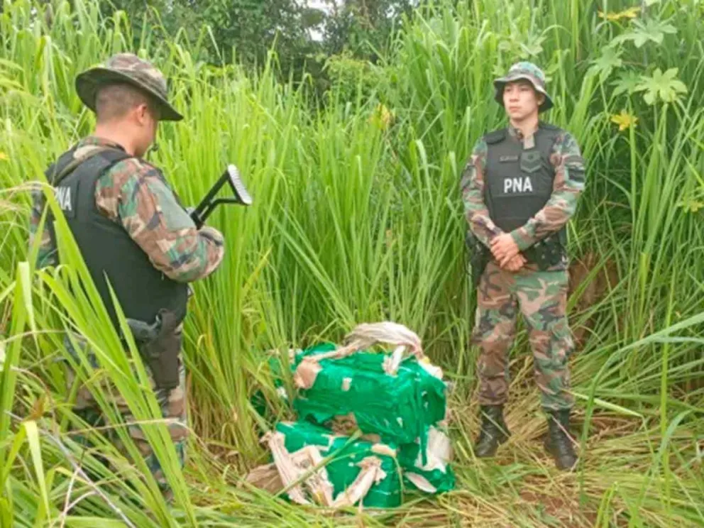 En un procedimiento denominado “Follaje Tóxico”