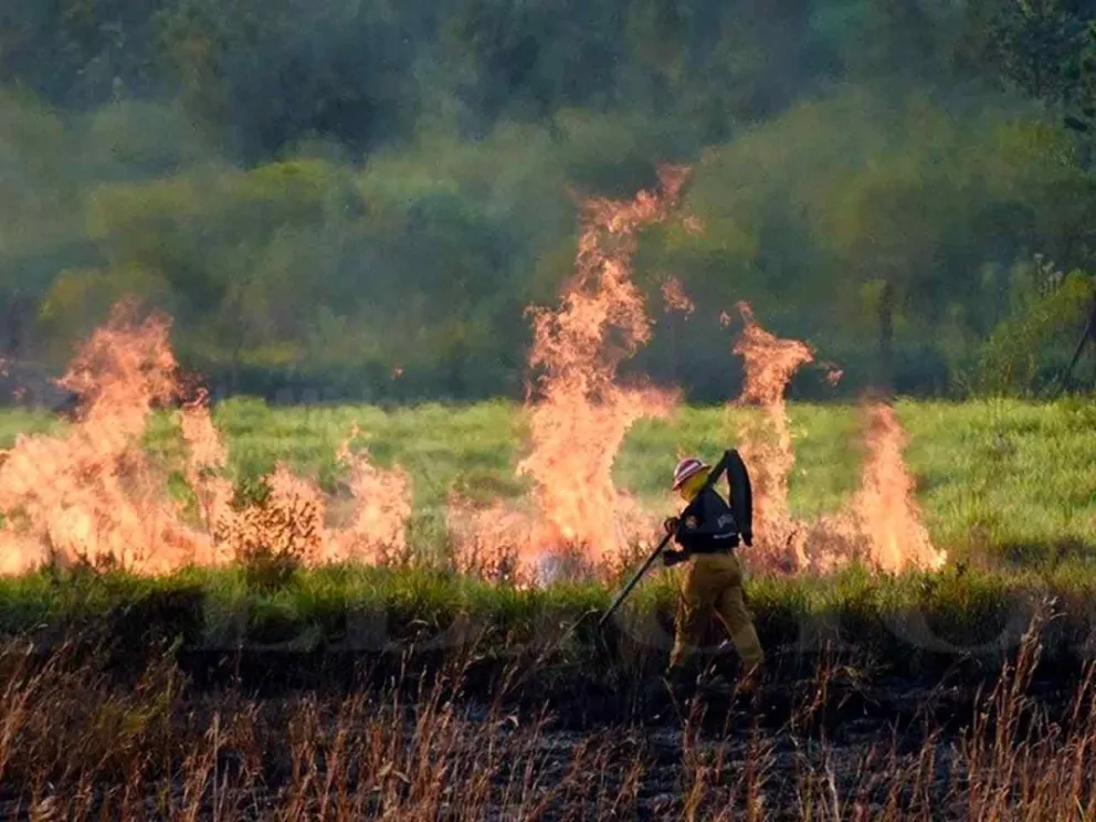 Estipuladas en la Ley 26.815 de manejo de fuego