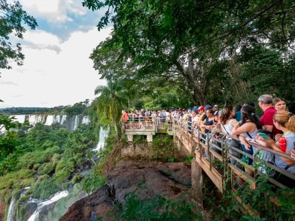 Por considerar que vulnera normas ambientales