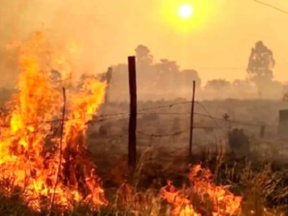 Reiteran la prohibición total de cualquier tipo de quema