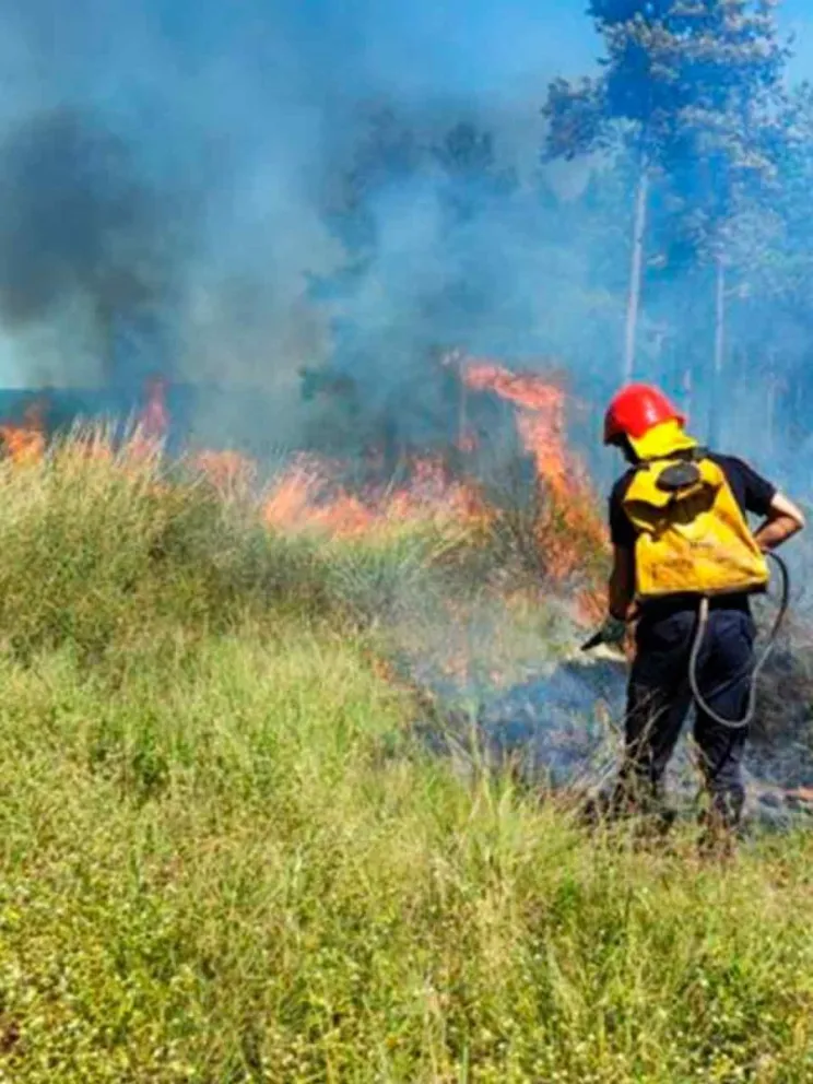 Afectó unas 20 hectáreas