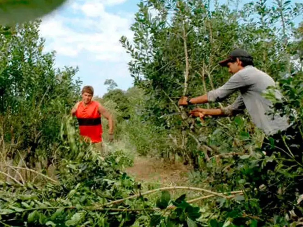 En el SUM de la Municipalidad, a las 16:00