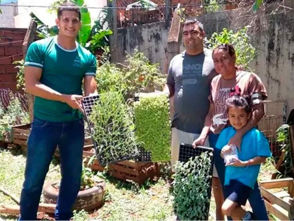 Entrega de plantines