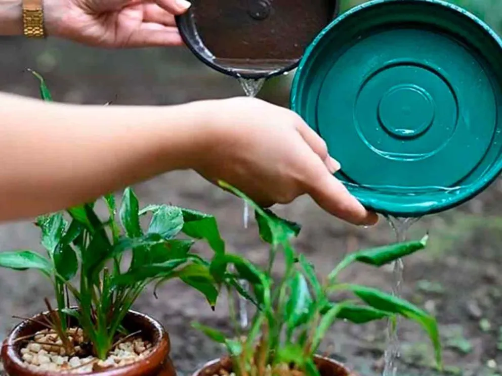 Descacharrizar y eliminar el agua acumulada