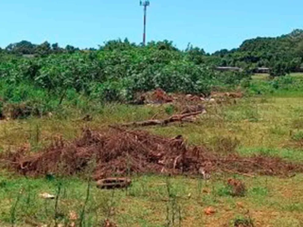 Necesitan soluciones