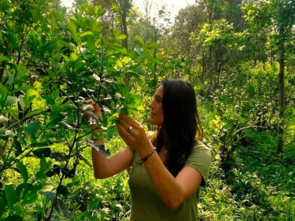 La trazabilidad, una herramienta clave