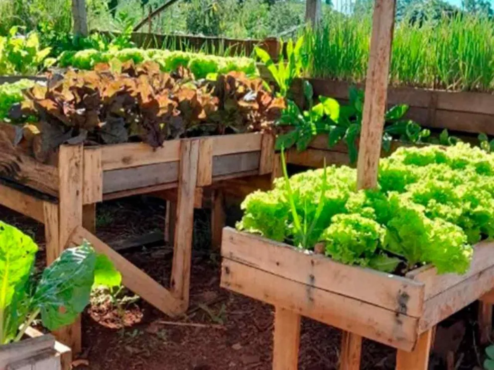 Para fortalecer la producción