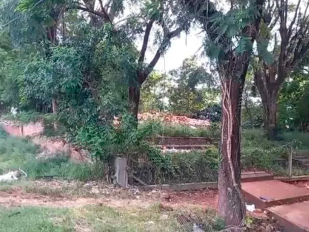 Piden limpieza del terreno por inseguridad