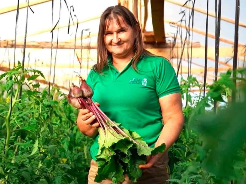 Para mayor rentabilidad de la familia agrícola