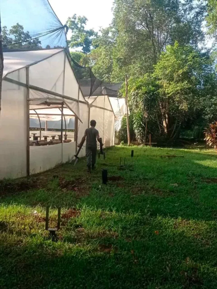 Duplicará la producción