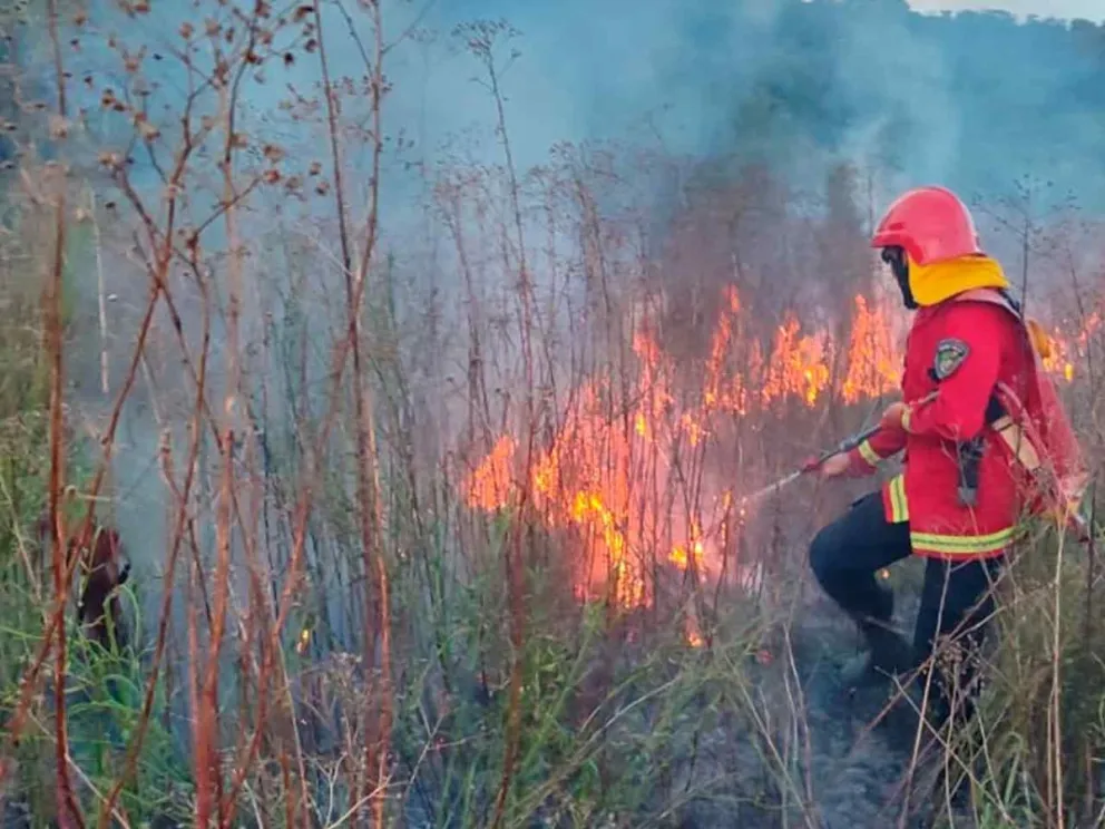 Ante el elevado riesgo de incendios