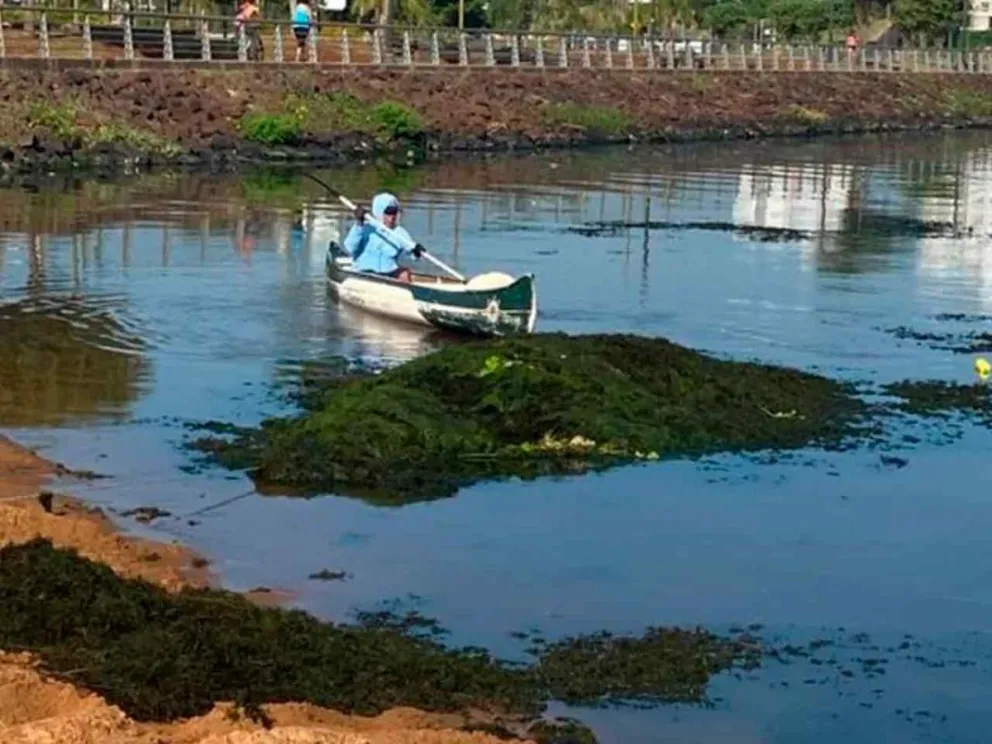 Intensifican acciones de monitoreo
