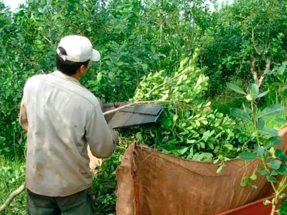 A través de las cuentas del Banco Nación