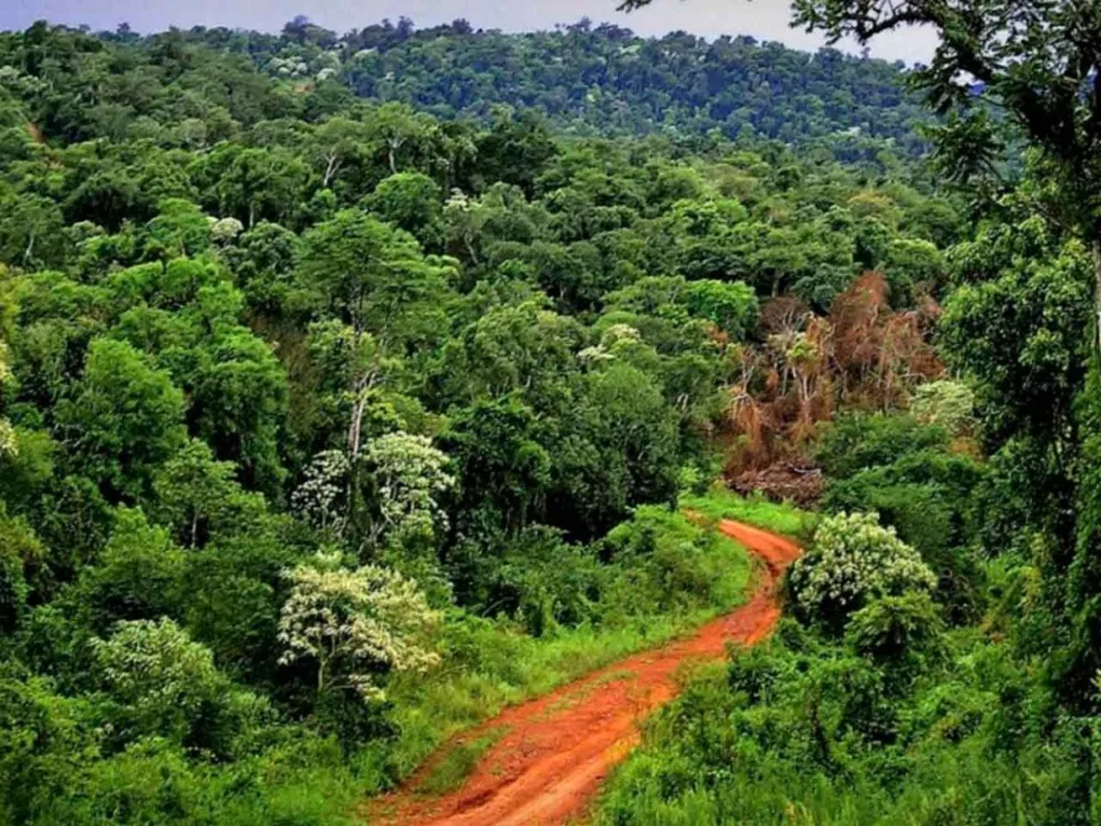 Fortalecerá la conciencia y el cuidado ambiental