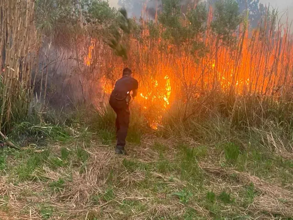 La mayor superficie quemada son los pastizales