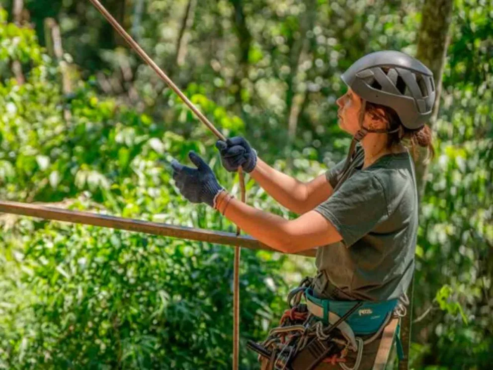 Para agilizar la tramitación de permisos
