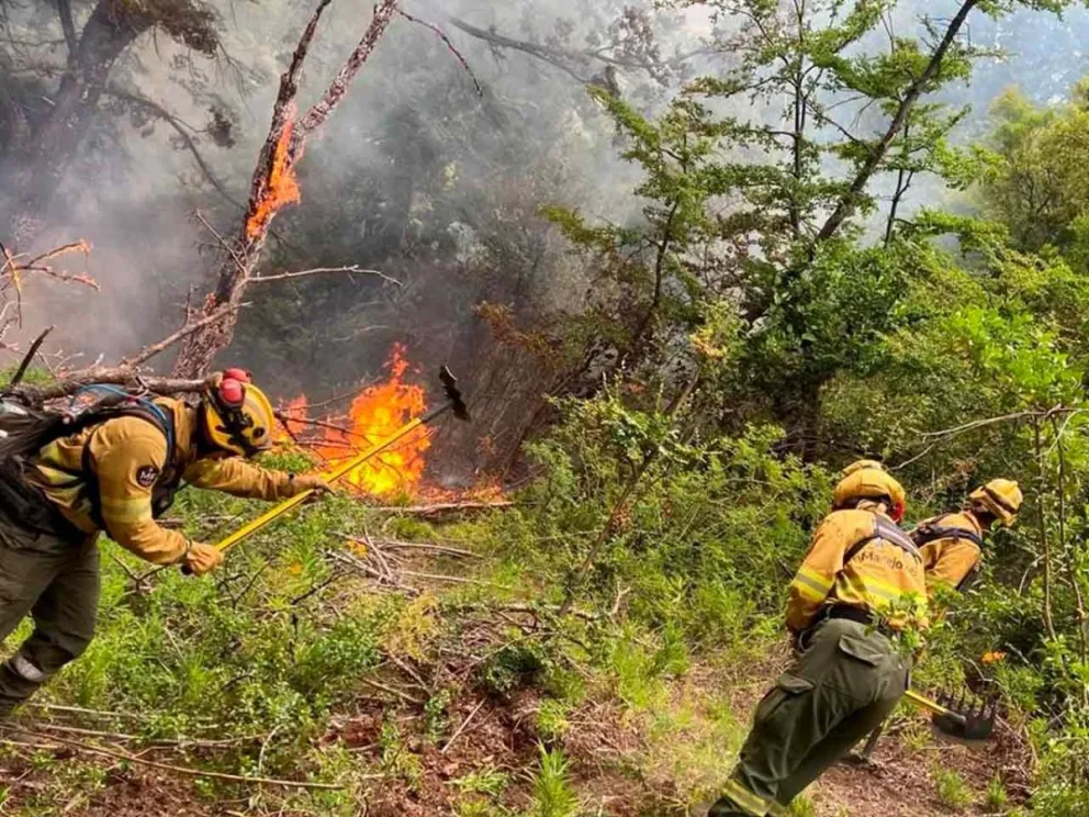 Trabajan junto a equipos de otras provincias