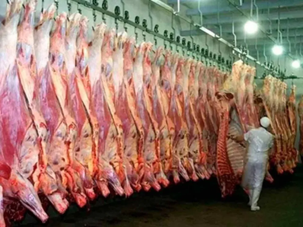 Registró alzas en los precios al consumidor