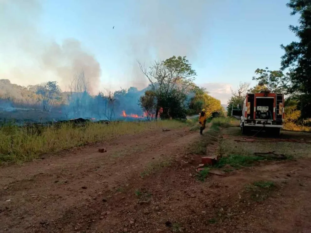 Afectó 12 hectáreas de monte nativo