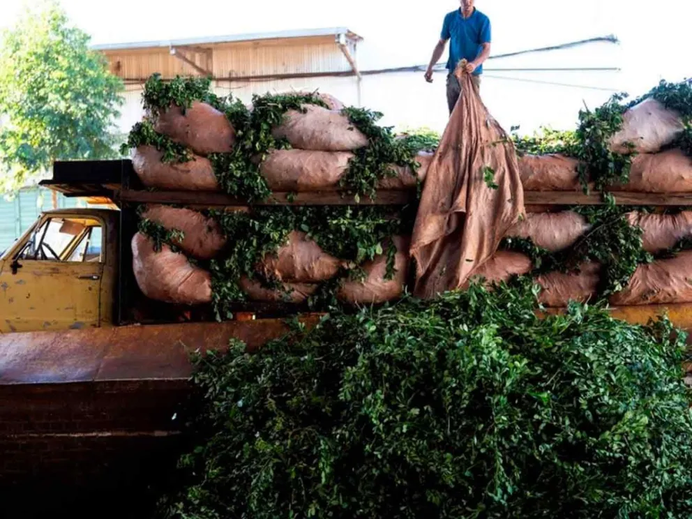 Paro de cosecha por tiempo indeterminado