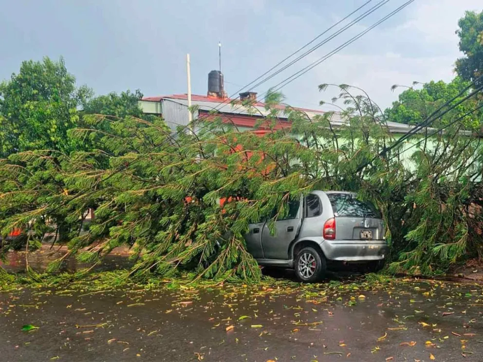 El fenómeno meterológico: una “micro explosión”