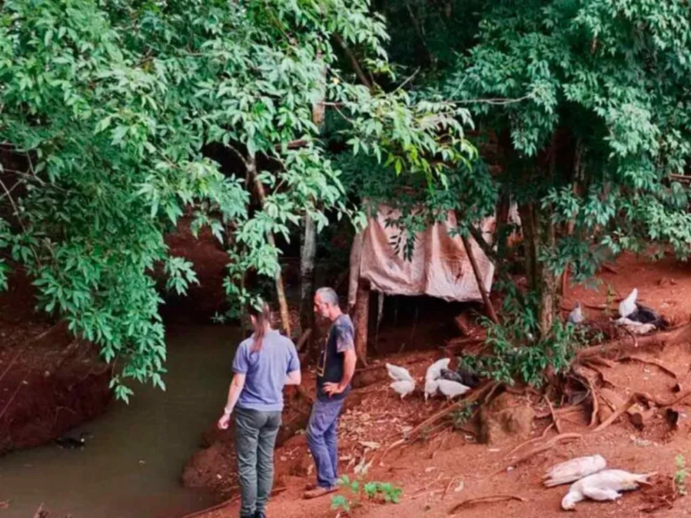 Inspección en el lugar y toma de muestras de agua