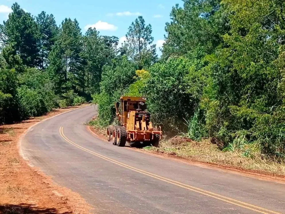 Desmalezamiento, perfilado y nivelación