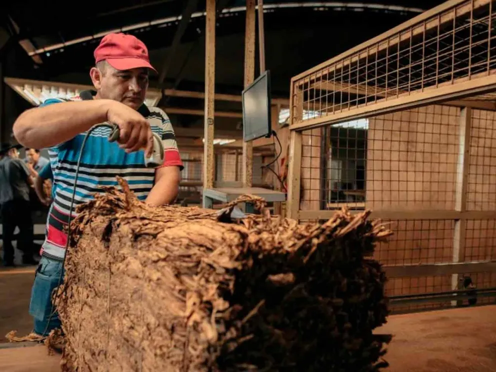 Proyectan un ingreso total de $120 mil millones