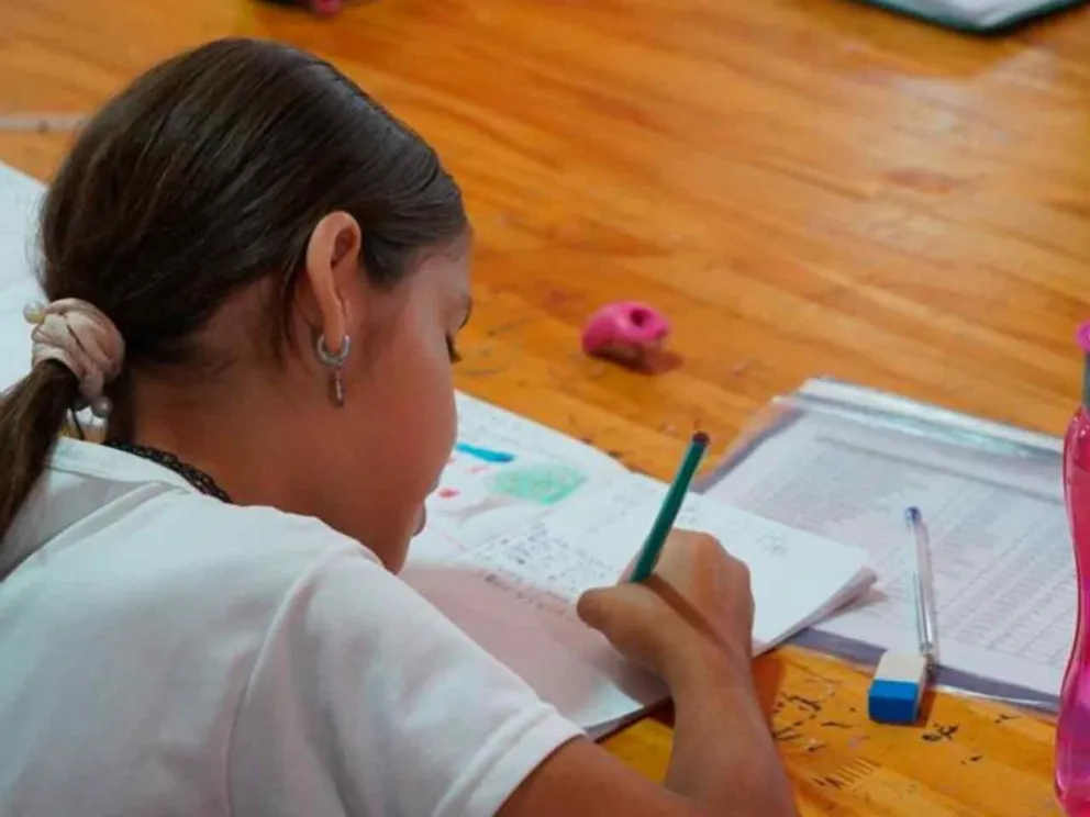 Para alumnos de Primaria y Secundaria