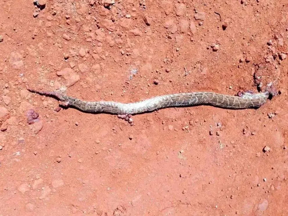 Solicitan inspección municipal