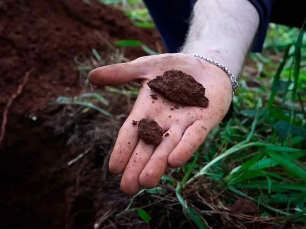 Permitirá optimizar inversiones