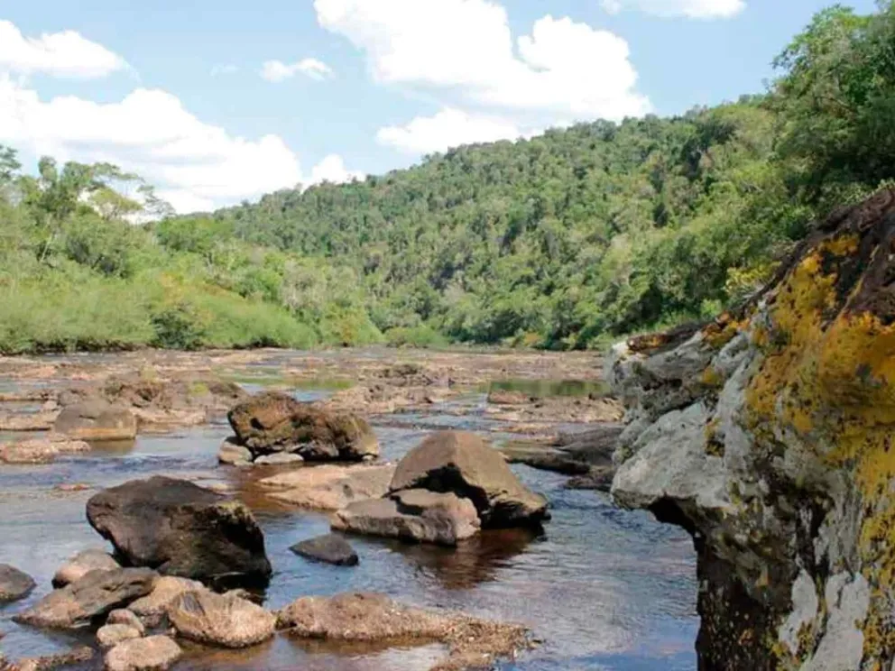 Intervino personal policial de Delitos Rurales