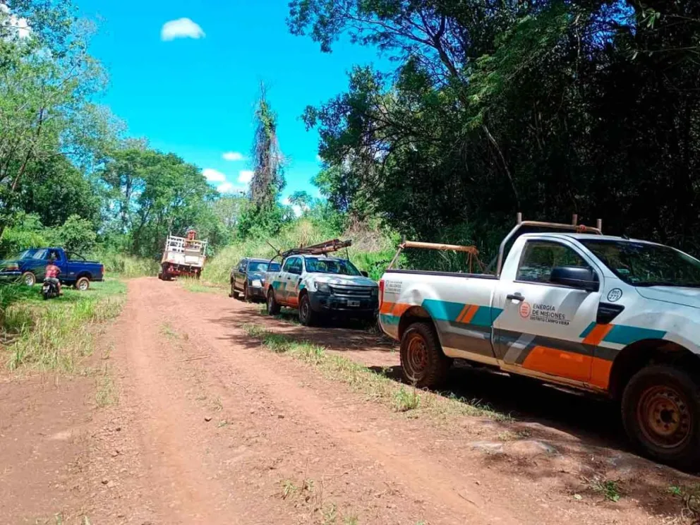  Brindó una respuesta inmediata