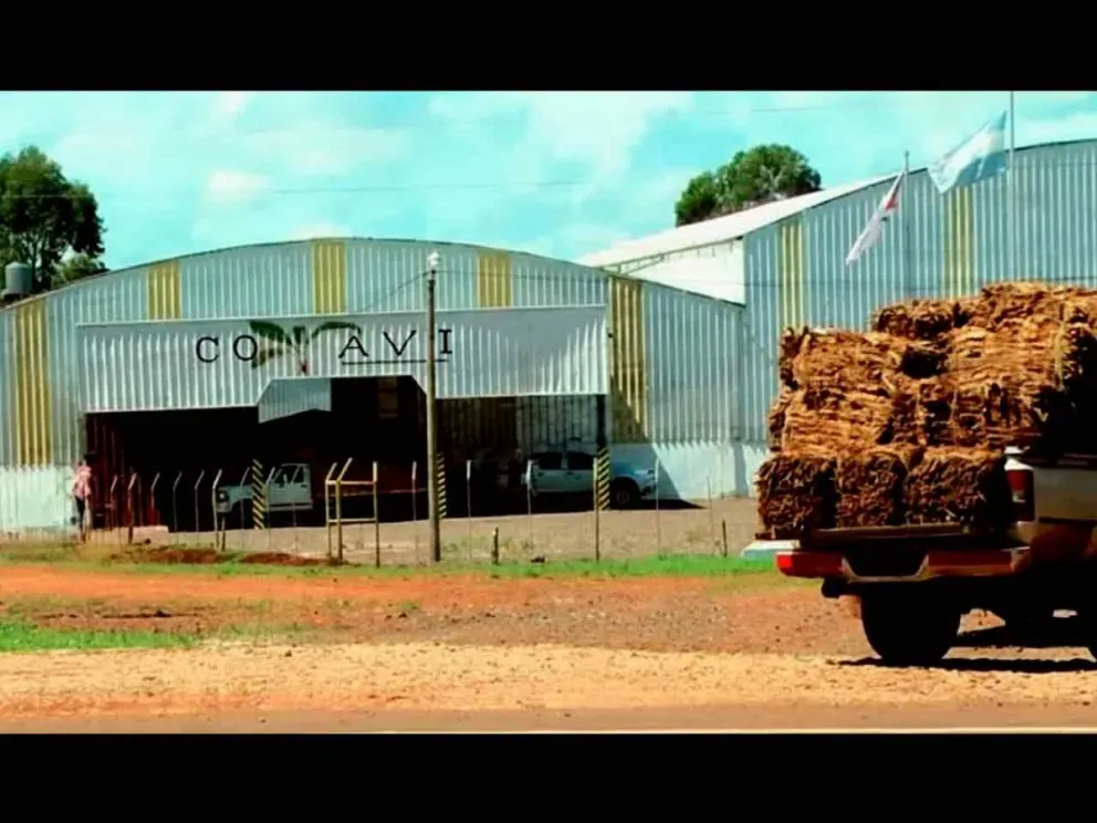 Cooperativa Tabacalera San Vicente Limitada