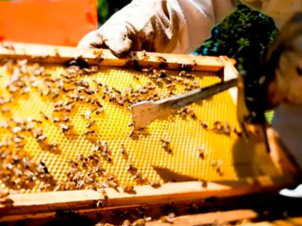 Un modelo de negocio con identidad propia