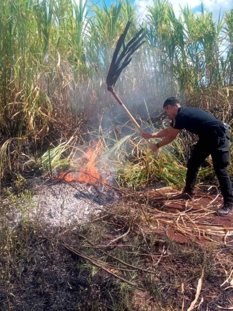 Rápido accionar policial