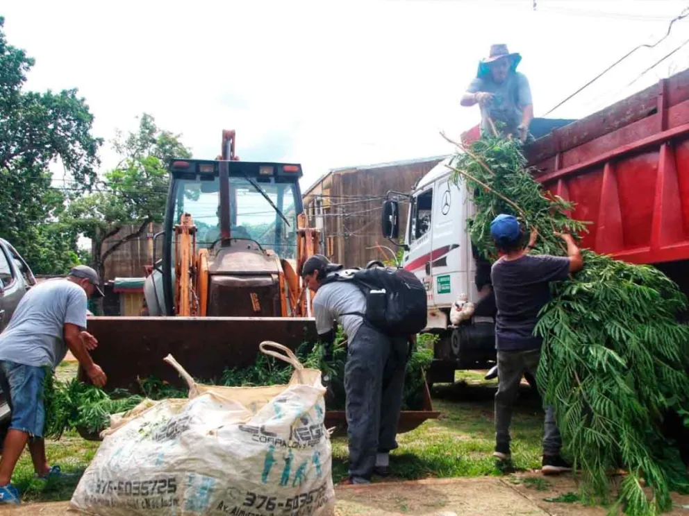 Tareas de limpieza y fumigación