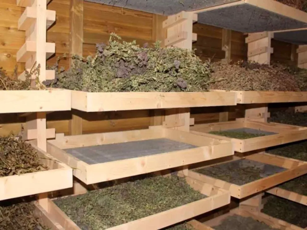 Importante proyecto productivo