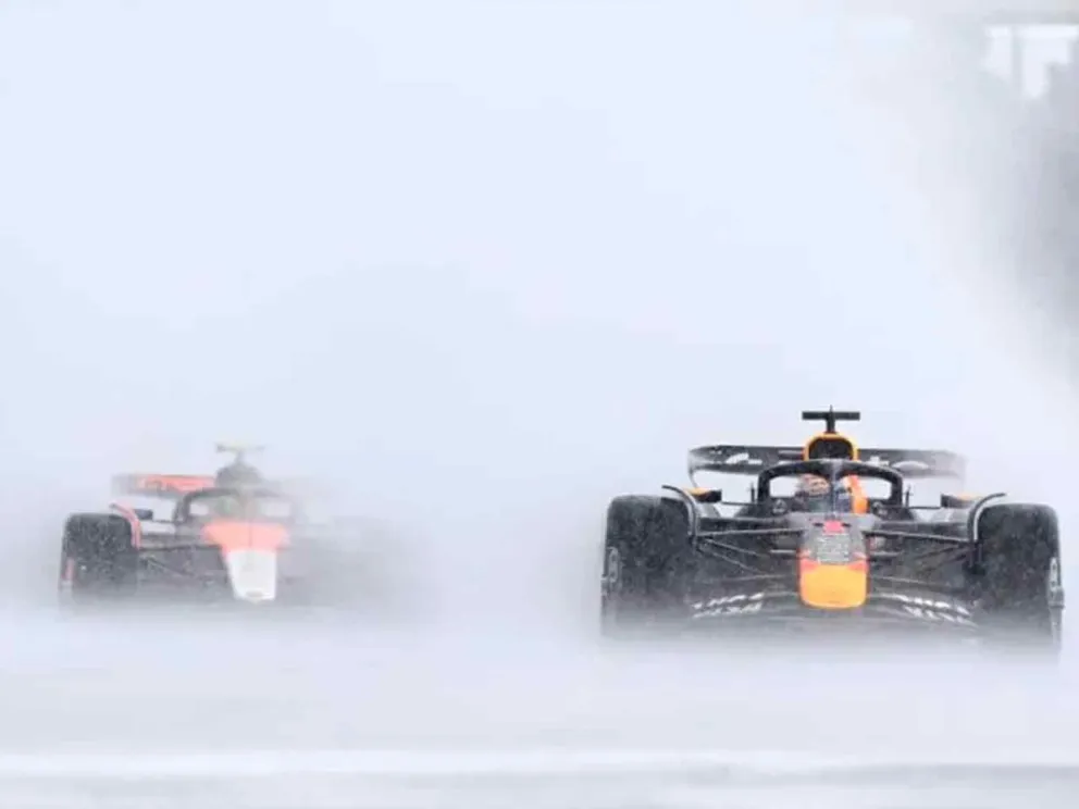 Establecidos por la FIA