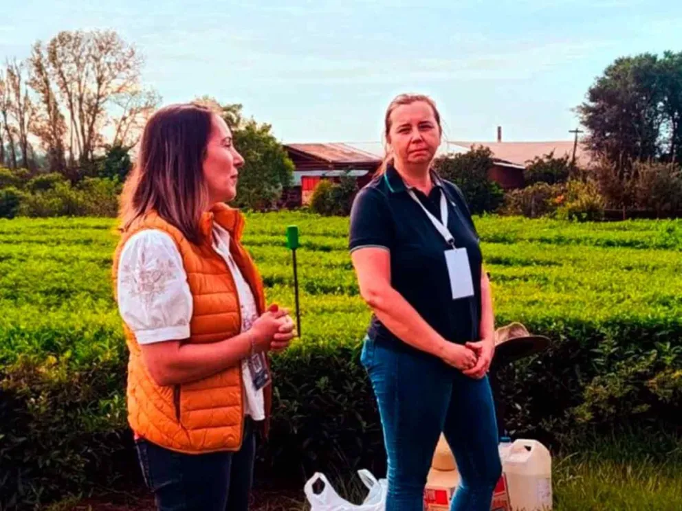 Abordaron el cultivo desde una perspectiva integral