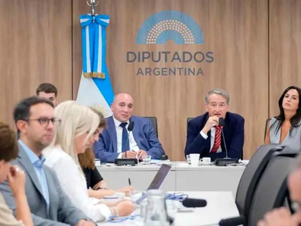 Convocaron a audiencia pública para el 25 y 26/03