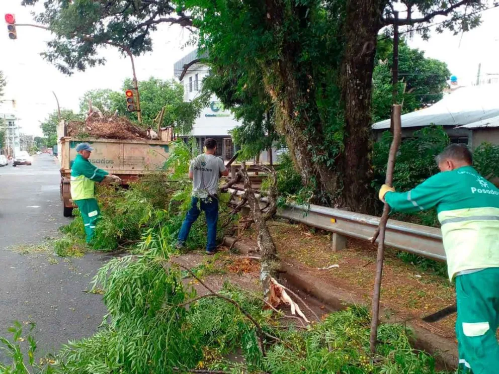 Cuadrilla de emergencia para despeje de ramas