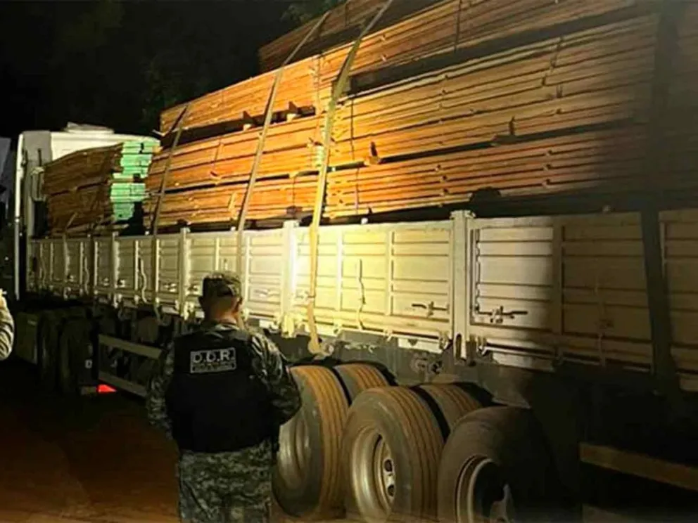 Para proteger los bosques nativos provinciales