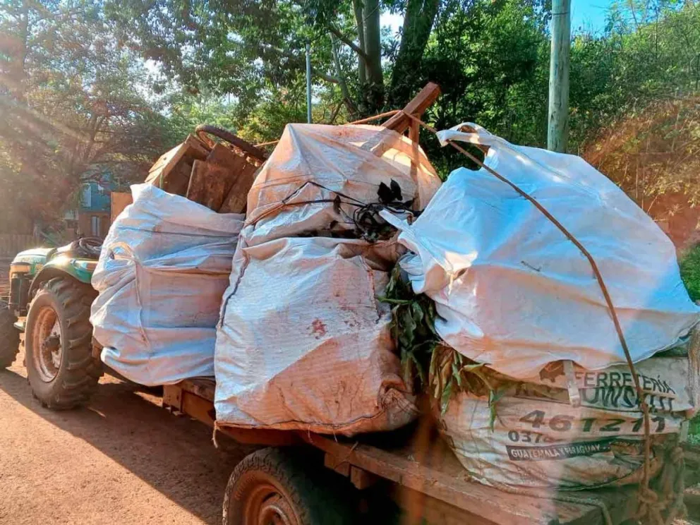 Para prevenir la profileración del Aedes aegypti
